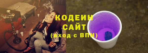 крисы Мегион
