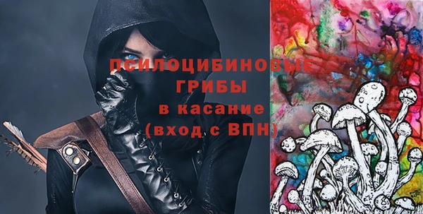 крисы Мегион