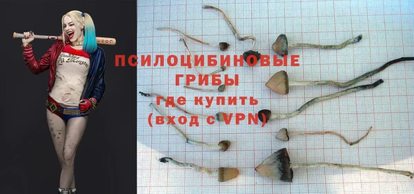 крисы Мегион