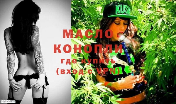 крисы Мегион