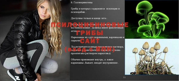 бошки Медногорск