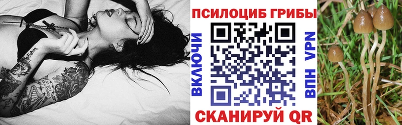 Псилоцибиновые грибы прущие грибы  купить  цена  Малгобек 