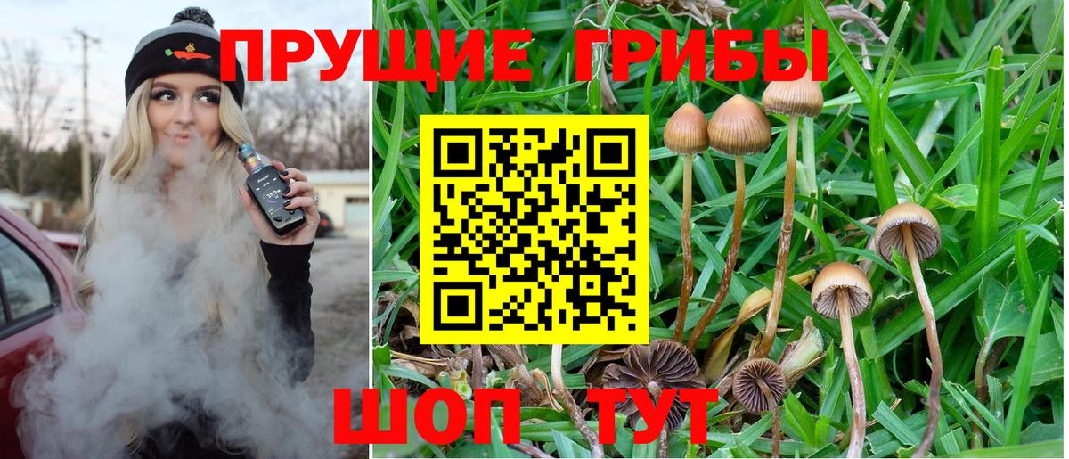 Малгобек  Галлюциногенные грибы GOLDEN TEACHER  Вход с VPN 